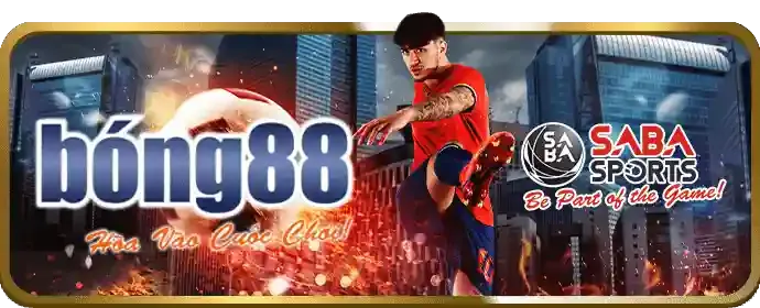 Chương trình đối tác fly88d
