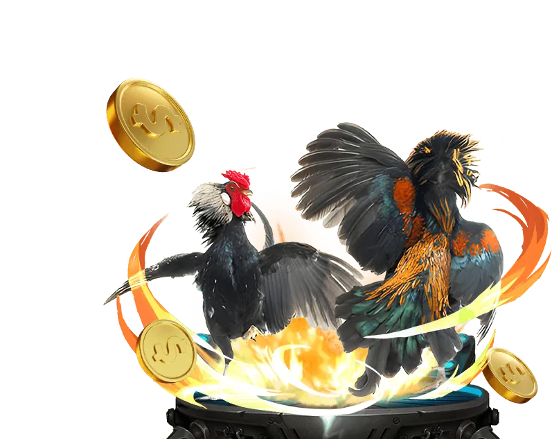 Hình ảnh: Mẹo chơi Casino trực tuyến fly88d